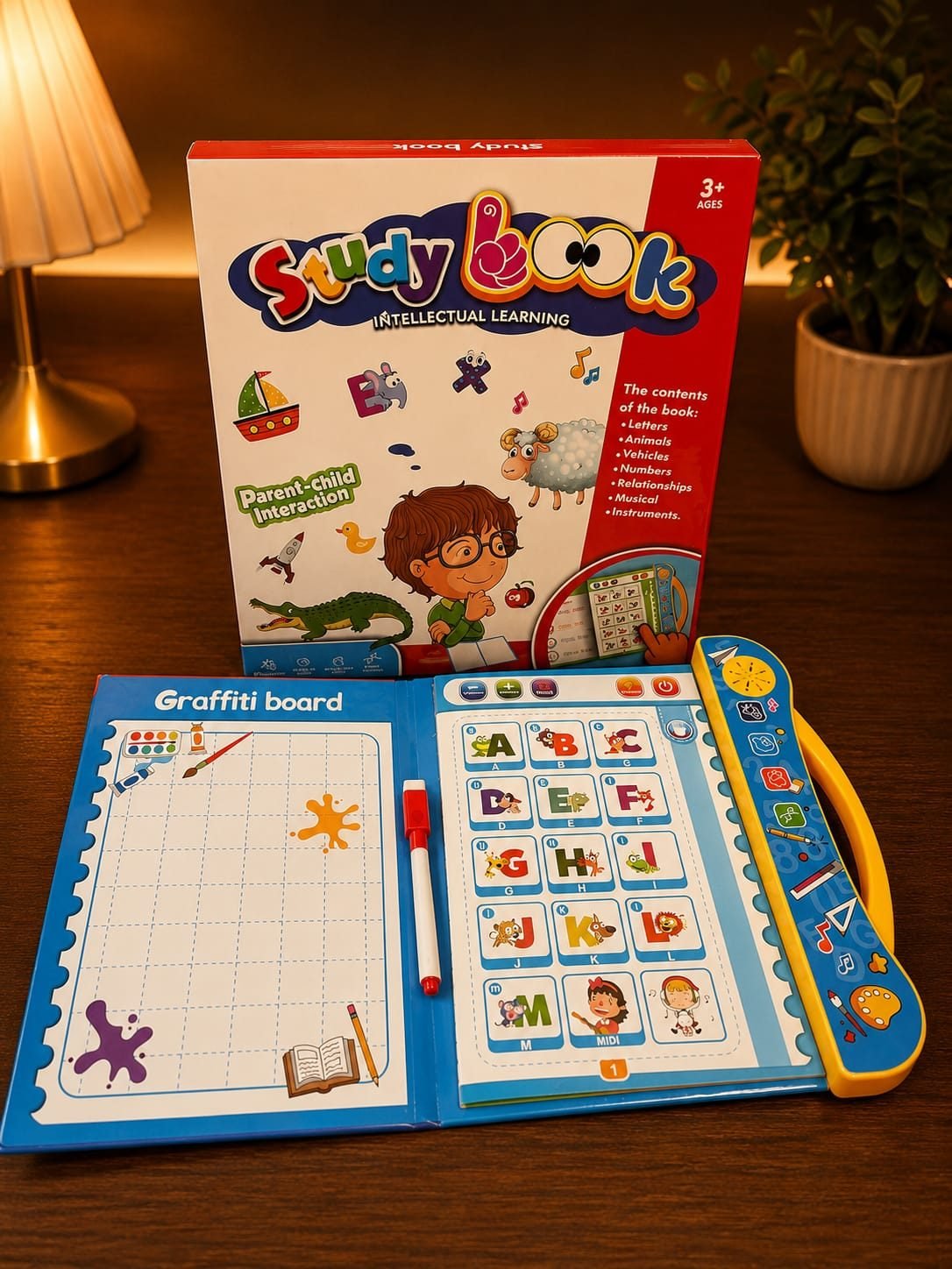 Study Book – Intellectual Learning